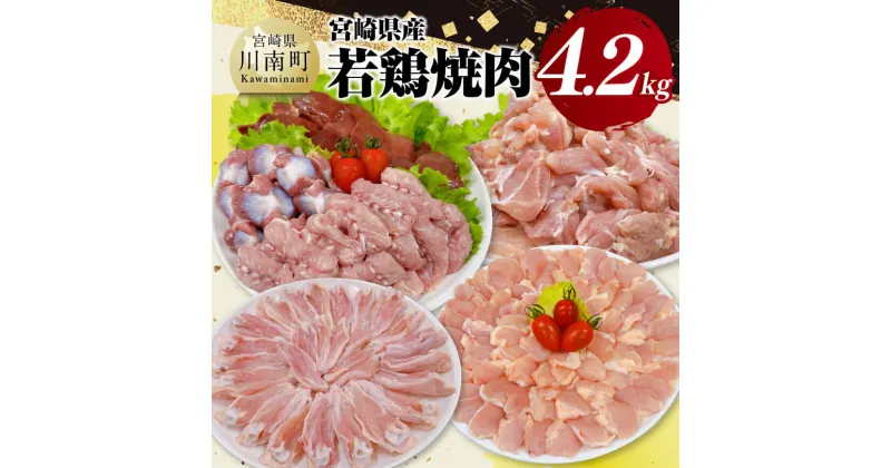 【ふるさと納税】宮崎県産 若鶏 焼肉 4.2kg – もも 砂肝 小肉 チキンリブ 肩肉 鶏肉 とり肉 真空パック D11618