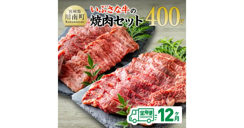 【ふるさと納税】【12ヶ月定期便】いぶさな牛の焼肉セット400g – 宮崎県産 牛 切り落とし 黒毛和牛 定期便 D05306t12