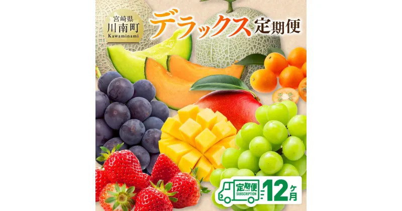 【ふるさと納税】【 12ヶ月定期便 】 デラックス 定期便 – 川南町産 くだもの きんかん いちご 完熟 マンゴー ぶどう ピオーネ シャイン マスカット 大玉 メロン D11702t12