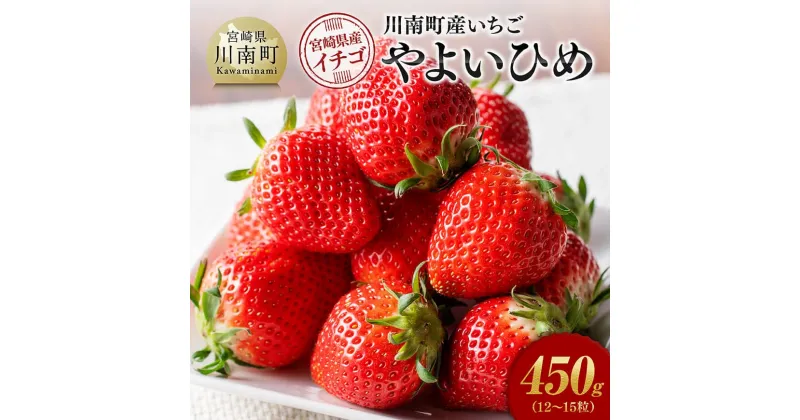 【ふるさと納税】川南町産　いちご「やよいひめ」450g – 期間限定 果物 イチゴ 苺 やよいひめ フルーツ D11201