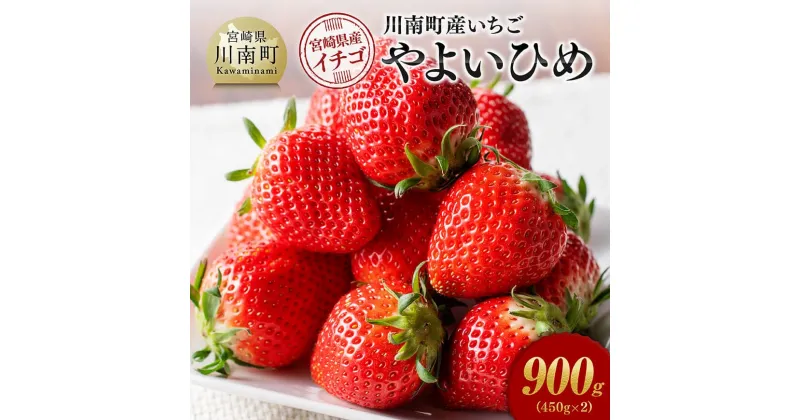 【ふるさと納税】川南町産　いちご「やよいひめ」900g（450g×2） – 期間限定 果物 イチゴ 苺 やよいひめ フルーツ D11202