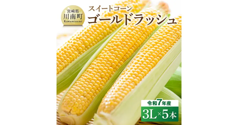 【ふるさと納税】【令和7年発送】宮崎県産とうもろこし　スイートコーン「ゴールドラッシュ」3L×5本 – 新鮮 農家直送 トウモロコシ 産地直送 季節限定 期間限定 宮崎県産 九州産 D09108