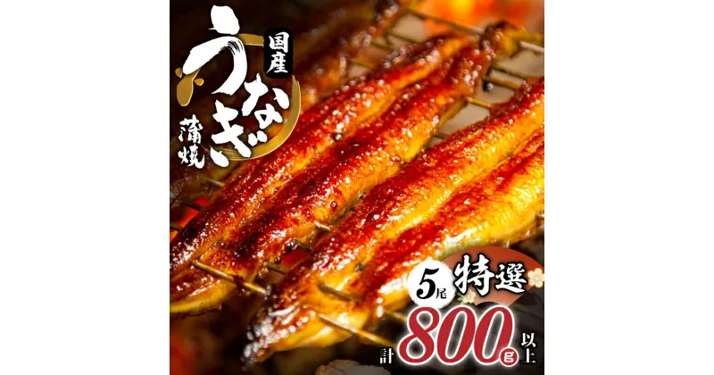 【ふるさと納税】うなぎ部門1位 レビュー件数5000件以上の実績 うなぎ 鰻 蒲焼 5尾 計800g以上 たれ付き 国産 養殖うなぎ unagi 贈り物 贈答 化粧箱入り 丑の日 簡単調理 うな重 うな丼 ひつまぶし うなぎ長焼 鰻楽 ギフト 宮崎県 都農町 送料無料 レビューキャンペーン