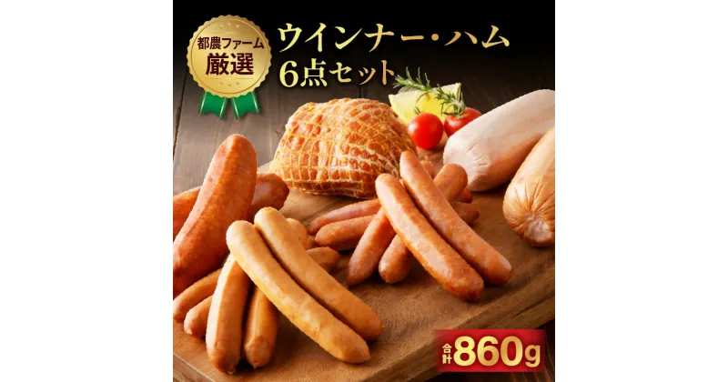 【ふるさと納税】都農ファーム 厳選 ウインナー ハム 6点 セット 合計860g 豚肉 加工品 真空パック 食べ比べ 粗挽き ソーセージ チーズ ポーク おかず おつまみ 晩ご飯 弁当 BBQ 贈り物 ギフト プレゼント おすすめ 国産 宮崎県 都農町 送料無料