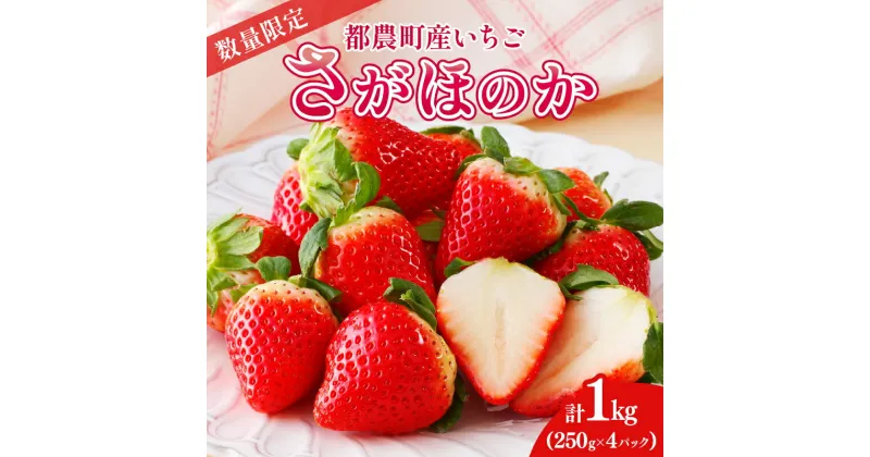 【ふるさと納税】 先行予約 数量限定 都農町産 いちご さがほのか 計1kg 期間限定 苺 イチゴ フルーツ 果物 くだもの デザート おやつ いちごさん 2025年 いちご大福 フルーツサンド ジュース おすすめ 産地直送 ご褒美 お祝い おすそ分け 国産 食品 宮崎県 送料無料