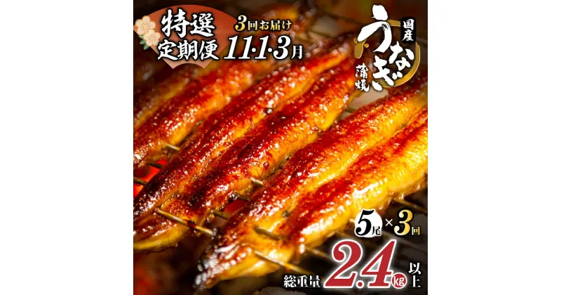 【ふるさと納税】先行予約 うなぎ蒲焼 5尾 総重量2.4kg以上 定期便 全3回 11月 1月 3月 お届け うなぎたれ付 ウナギ unagi 国産 食品 人気 おすすめ ひつまぶし うな重 うなぎ長焼 贈り物 小分け 真空パック 簡単調理 鰻楽 ギフト 加工品 丑の日 宮崎県 都農町 送料無料