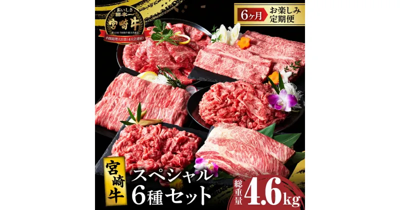 【ふるさと納税】6か月 お楽しみ 定期便 宮崎牛 スペシャル 6種 セット 総重量4.6kg 肉 牛肉 国産 A4 スライス すき焼き しゃぶしゃぶ ステーキ 切落し 牛丼 肉じゃが 焼肉 ブランド牛 おかず 晩ご飯 ご褒美 贅沢 お取り寄せ グルメ 宮崎県 都農町 送料無料