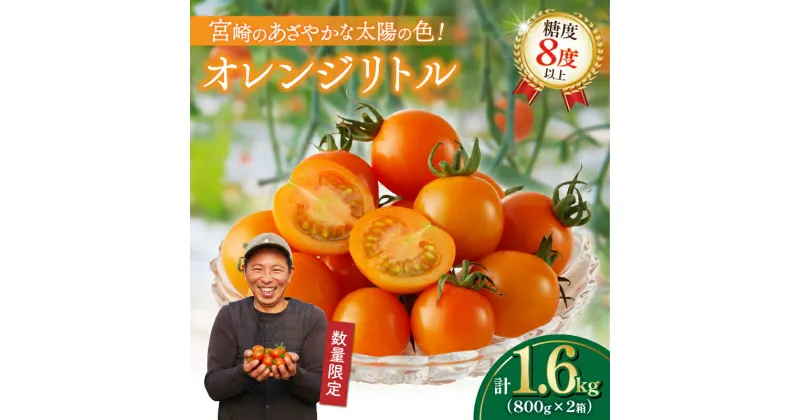 【ふるさと納税】先行予約 オレンジリトル 合計1.6kg ミニトマト 野菜 青果 サラダ デザート 国産 完熟トマト フルーツトマト 新鮮 お土産 産地直送 果汁 ジューシー 甘い あまい 高糖度 おやつ おすすめ リコピン 贈答 ギフト お取り寄せ グルメ 宮崎県 都農町 送料無料