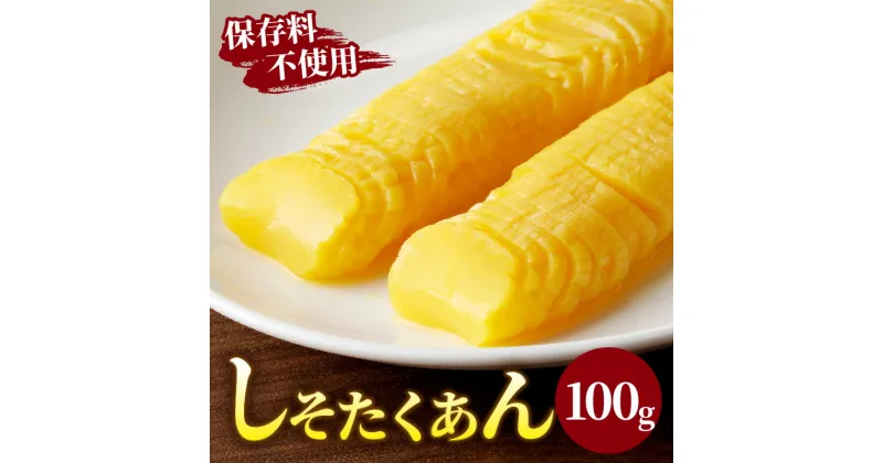 【ふるさと納税】＼ポスト投函／ パリッと食感 しそたくあん 100g 1500円 沢庵 しそ風味 つけもの 漬物 おかず 野菜 加工品 国産 食品 グルメ ご飯のお供 食卓 お試しサイズ お取り寄せ おすそ分け お土産 お弁当 惣菜 だいこん おつまみ ヘルシー 宮崎県産 都農町 送料無料