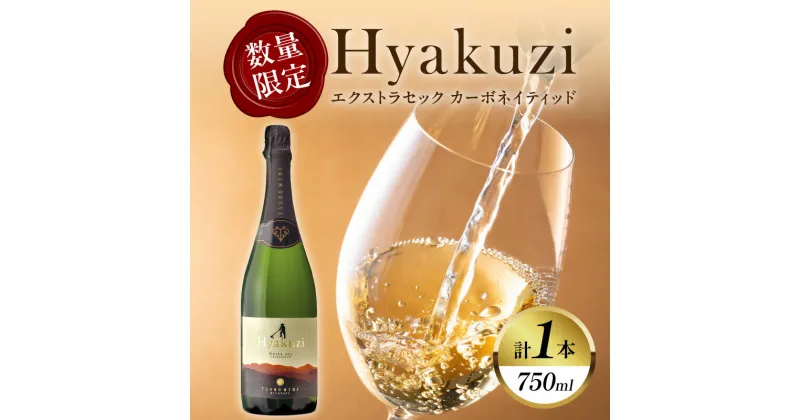 【ふるさと納税】数量限定 Hyakuzi エクストラセック カーボネイティッド 1本 酒 飲料 アルコール 国産 都農ワイン スパークリングワイン やや辛口 シャンパン 家飲み 晩酌 パーティー ご褒美 記念日 お取り寄せ グルメ 宮崎県 都農町 送料無料