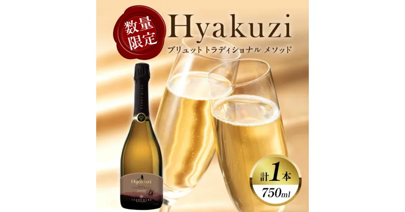 【ふるさと納税】数量限定 Hyakuzi ブリュット トラディショナル メソッド 計1本 酒 飲料 アルコール 国産 都農ワイン スパークリングワイン シャンパン 辛口 家飲み 晩酌 パーティー ご褒美 記念日 お取り寄せ グルメ 宮崎県 都農町 送料無料