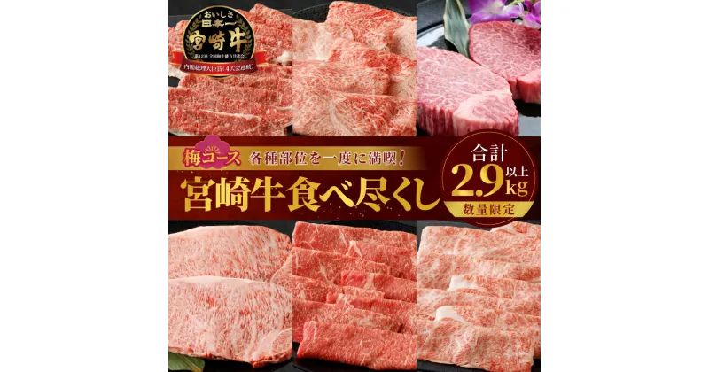 【ふるさと納税】数量限定 宮崎牛 食べ尽くし 梅コース 合計2.9kg以上 肉 牛肉 国産 期間限定 人気 ブランド牛 4等級 ステーキ スライス すき焼き しゃぶしゃぶ おかず 晩ご飯 ディナー パーティー ご褒美 記念日 お祝 贅沢 お取り寄せ グルメ 宮崎県 都農町 送料無料