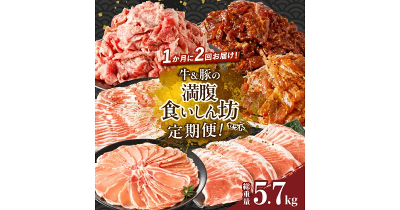 【ふるさと納税】定期便 ＼1か月に2回お届け！！／ 牛 豚 満腹 食いしん坊 セット 総重量5.7kg 肉 牛肉 豚肉 ビーフ 豚バラ 国産 食品 宮崎牛 黒毛和牛 ブランド牛 おかず お弁当 スライス 焼肉 すき焼き しゃぶしゃぶ おすすめ お取り寄せ グルメ 宮崎県 都農町 送料無料