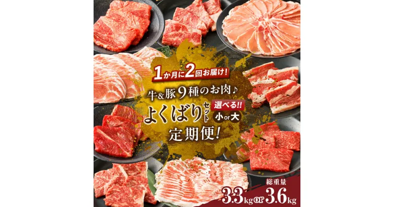 【ふるさと納税】定期便 ＼1か月に2回お届け！！／ 牛 豚 9種のお肉 よくばりセット 大・小 牛肉 豚肉 ビーフ ポーク 豚バラ 国産 食品 黒毛和牛 おかず お弁当 焼肉 すき焼き しゃぶしゃぶ おすすめ 人気 お取り寄せ グルメ お祝い 小分け 宮崎県 都農町 送料無料