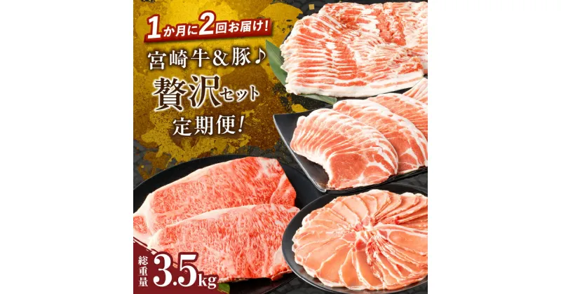 【ふるさと納税】定期便 ＼1か月に2回お届け！！／ 宮崎牛 豚 贅沢 セット 総重量3.5kg 肉 牛肉 豚肉 豚バラ 国産 食品 黒毛和牛 ブランド牛 おかず お弁当 ステーキ スライス しゃぶしゃぶ お祝い 記念日 ご褒美 おすすめ お取り寄せ グルメ 宮崎県 都農町 送料無料