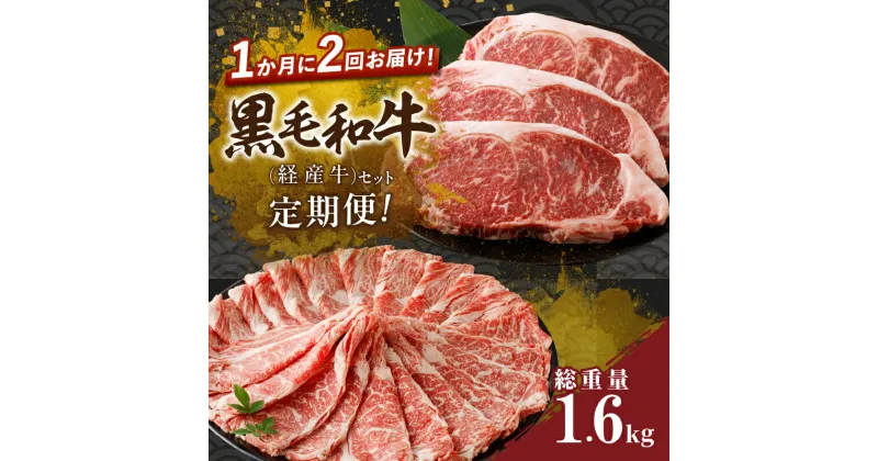 【ふるさと納税】定期便 ＼1か月に2回お届け！！／ 黒毛和牛 経産牛 セット 総重量1.6kg 肉 牛肉 ビーフ 国産 食品 おかず お弁当 肩ロース スライス ロース ステーキ すき焼き しゃぶしゃぶ お祝い 記念日 おすすめ お取り寄せ グルメ 宮崎県 都農町 送料無料