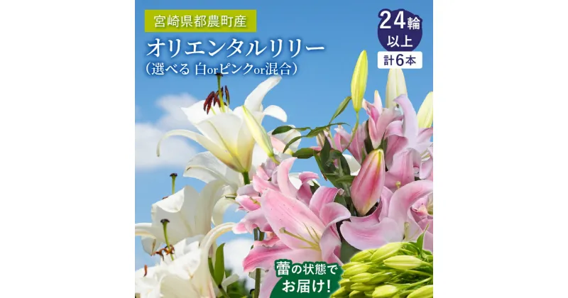 【ふるさと納税】色が選べる オリエンタルリリー ユリ 計6本 お花 ヤマユリ カノコユリ 白 ピンク ゆり 百合 香り アレンジメント インテリア 飾り おしゃれ フラワーギフト ガーデニング 花束 贈り物 贈答 ウエディング ブーケ プレゼント 記念日 宮崎県 都農町 送料無料