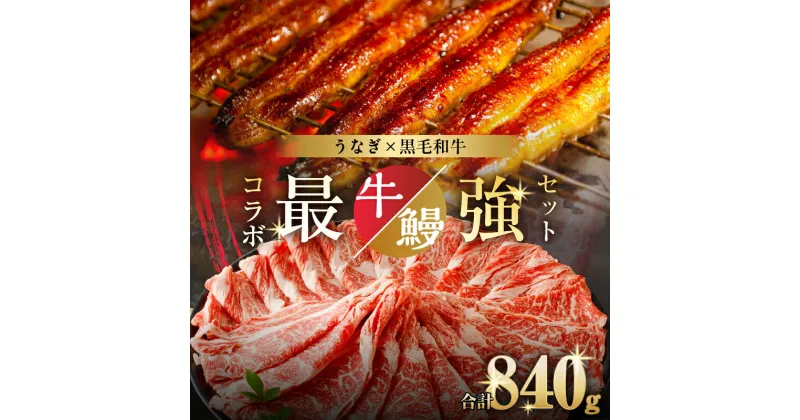 【ふるさと納税】最強コラボセット 数量限定 うなぎ × 黒毛和牛 (経産牛) 都農町 最強 セットD うなぎ蒲焼 鰻 魚介 肩ロース スライス 肉 牛肉 焼肉 養殖うなぎ unagi うなぎ長焼 おすすめ 人気 国産 贈り物 ギフト うな重 牛丼 すき焼き しゃぶしゃぶ 宮崎県 送料無料