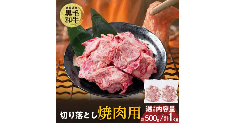 【ふるさと納税】選べる内容量【2週間以内発送】宮崎県産 黒毛和牛 切り落とし 焼肉用 食品 肉 牛肉 国産 焼肉 焼き肉 バーベキュー BBQ アウトドアおかず 晩ご飯 煮込み料理 ご褒美 贅沢 お取り寄せ グルメ 真空パック おすそ分け 人気 オススメ 都農町 送料無料