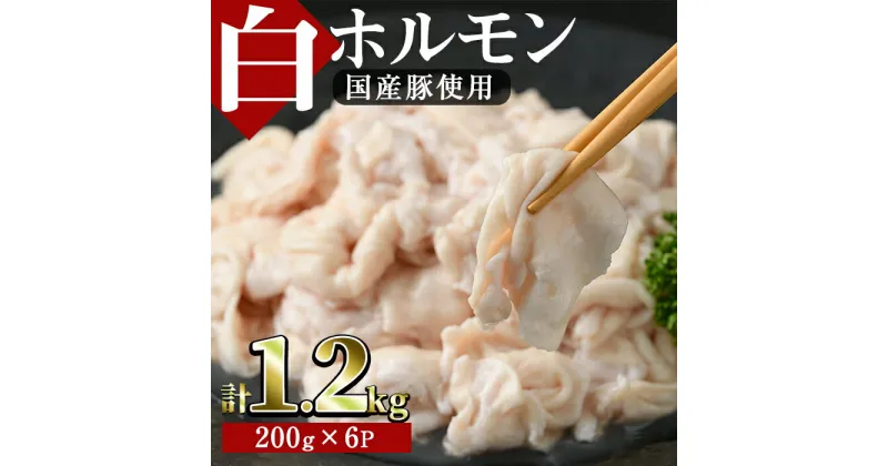 【ふるさと納税】白ホルモン(約計1.2kg・200g×6P)豚肉 もつ モツ 小分け 冷凍 国産 おかず おつまみ【J-5】【幸食品】