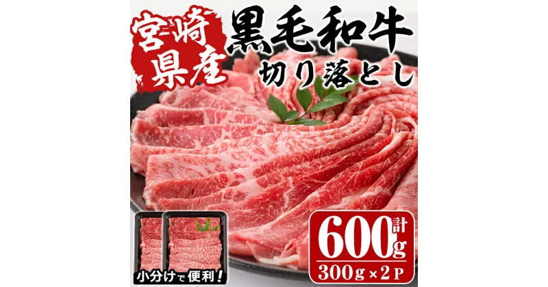 【ふるさと納税】宮崎県産黒毛和牛切り落とし(計600g・300g×2P)牛肉 精肉 お肉 モモ 肩 カタ バラ ミックス 小分け すき焼き しゃぶしゃぶ 牛丼 肉じゃが 国産 冷凍【P-20】【南日本フレッシュフード株式会社(日本ハムマーケティング株式会社)】