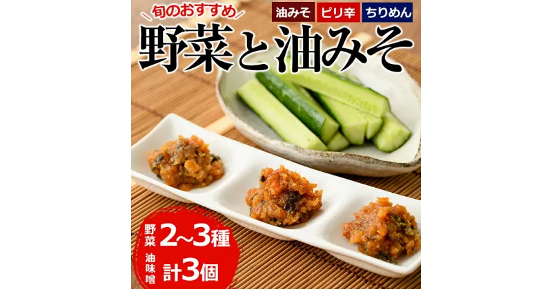 【ふるさと納税】野菜と油みそのセット(旬の野菜2～3種×油みそ3種(ちりめん・油みそ・ピリ辛)各1個)野菜 調味料 味噌 おつまみ トッピング 冷蔵【G-7】【旬鮮かどがわ直売センター】