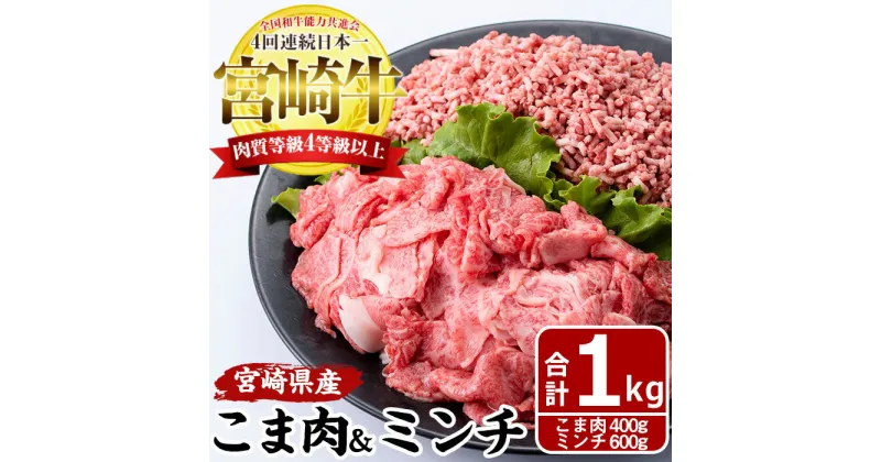 【ふるさと納税】宮崎牛 こま肉 ミンチ セット(計1kg・こま肉400g、ミンチ600g)牛肉 お肉 こま切れ ひき肉 黒毛和牛 ブランド和牛 詰め合わせ 詰合せ 国産 冷凍【MF-9】【エムファーム】