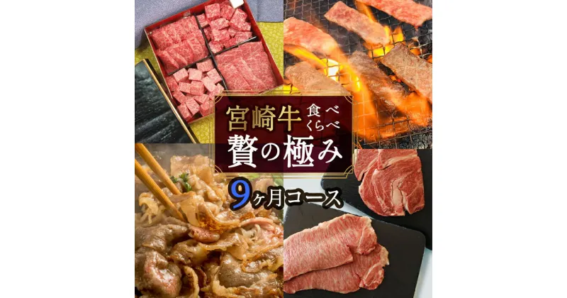 【ふるさと納税】＜定期便・全9回(連続)＞宮崎牛定期便食べ比べ贅の極み(9カ月コース)牛肉 お肉 黒毛和牛 焼肉 ステーキ すき焼き しゃぶしゃぶ スライス サーロイン リブロース モモ ウデ バラ 肩ロース クラシタ イチボ ヒレ ラム 国産 詰め合わせ 冷凍【AP-18】【日向屋】