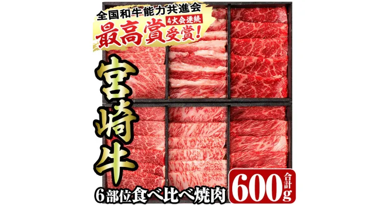 【ふるさと納税】＜宮崎牛・3D冷凍＞6部位食べ比べ焼肉(合計600g)牛肉 肉 ロース バラ モモ ヒレ ウデ セット 黒毛和牛 BBQ 国産 冷凍 宮崎県 門川町【R-27】【株式会社ミヤチク】