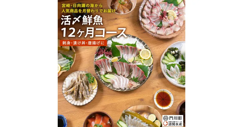 【ふるさと納税】【北海道・離島配送不可】＜定期便・全12回(連続)＞旬の鮮魚(12ヶ月コース)お刺身 お刺し身 魚介 海鮮 漬け丼 ブリ ぶり ヒラメ 真鯛 シマアジ カンパチ マグロ まぐろ サーモン ヒラメ ハマチ お楽しみ【AP-46】【日向屋】