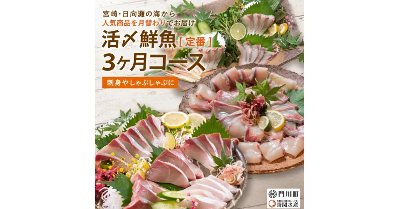 【ふるさと納税】【北海道・離島配送不可】＜定期便・全3回(連続)＞旬の鮮魚(3ヶ月コース)お刺身 お刺し身 魚介 海鮮 ブリ ぶり 鰤 シマアジ カンパチ シマアジ 真空パック お楽しみ【AP-32】【日向屋】