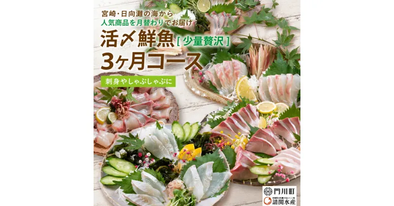 【ふるさと納税】【北海道・離島配送不可】＜定期便・全3回(連続)＞旬の鮮魚(3ヶ月コース)ブリ かんぱち 真鯛 ヒラメ シマアジ サーモン 冷蔵 簡単調理 刺身 国産 お造り 柵 お楽しみ 切るだけ【AP-33】【株式会社 日向屋】