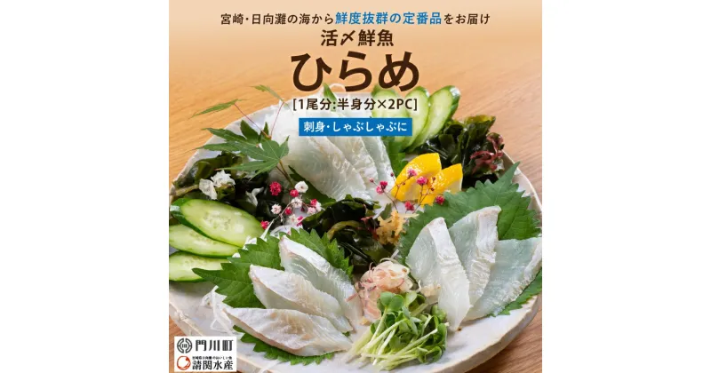 【ふるさと納税】【北海道・離島配送不可】新鮮！活〆ヒラメのお刺身(1尾分：約300g～400g) お刺し身 しゃぶしゃぶ 魚介 海鮮 ひらめ 活き締め 真空パック【AP-35】【日向屋】