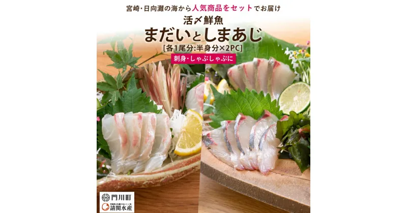 【ふるさと納税】【北海道・離島配送不可】新鮮！活〆真鯛としまあじのお刺身セット(合計約800g～1kg)お刺し身 魚介 海鮮 まだい マダイ シマアジ 詰め合わせ 詰合せ 活き締め 真空パック【AP-38】【日向屋】