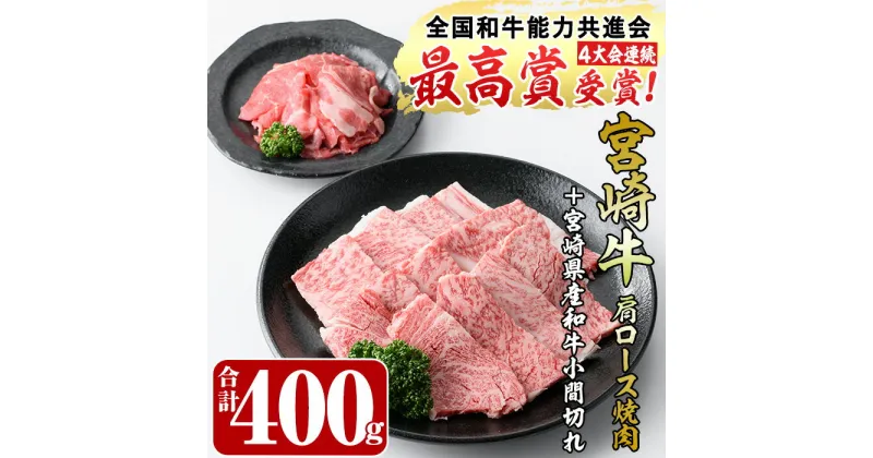 【ふるさと納税】宮崎牛肩ロース焼肉(300g)宮崎県産和牛小間切れ(1パック・100g)牛肉 鍋 精肉 お肉 BBQ お取り寄せ 黒毛和牛 ブランド和牛 冷凍 国産【R-52】【ミヤチク】