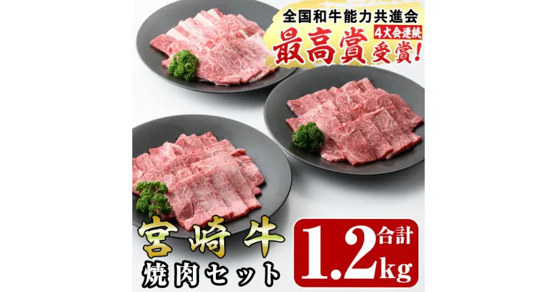 【ふるさと納税】宮崎牛焼肉セット(合計1.2kg・ウデ焼肉400g、モモ焼肉400g、バラ焼肉400g)国産 九州産 宮崎県産 牛肉 黒毛和牛 和牛 焼き肉 霜降り 食べ比べ セット 冷凍 バーベキュー【R-55】【ミヤチク】