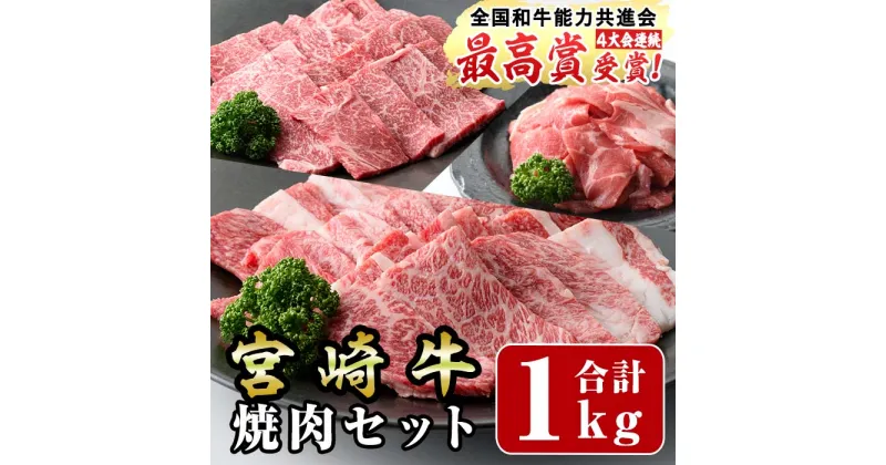 【ふるさと納税】宮崎牛焼肉セット(合計:1kg)モモ焼肉(400g)バラ焼肉(400g)宮崎県産和牛小間切れ(100g×2)牛肉 鍋 精肉 お肉 BBQ お取り寄せ すき焼き しゃぶしゃぶ 黒毛和牛 ブランド和牛 冷凍 国産【R-56】【ミヤチク】