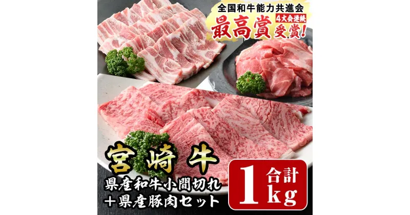 【ふるさと納税】宮崎牛と宮崎県産豚肉セット(合計1kg)宮崎牛肩ロース焼肉(300g)宮崎県産豚バラ焼肉(500g)宮崎県産和牛小間切れ(100g×2)国産 宮崎県産 牛肉 お肉 黒毛和牛 焼肉 やきにく しゃぶしゃぶ すき焼き 炒めもの 冷凍【R-57】【ミヤチク】