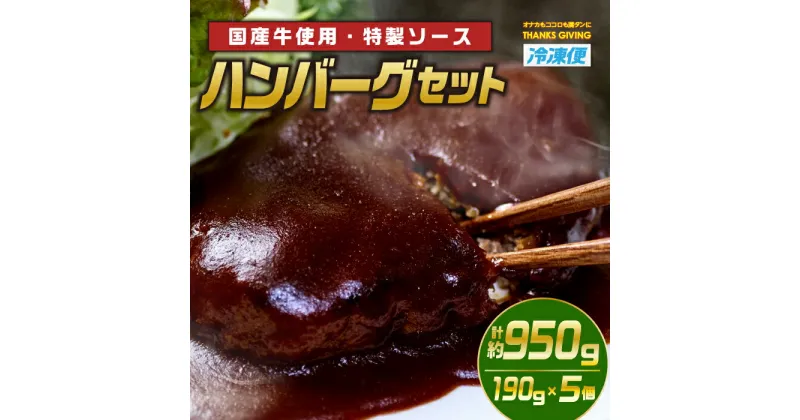 【ふるさと納税】ハンバーグセット(計約950g・190g×5個)お肉 牛肉 ソース 冷凍 個包装 国産 おかず 惣菜 簡単調理【TG-1】【サンクスギビング】