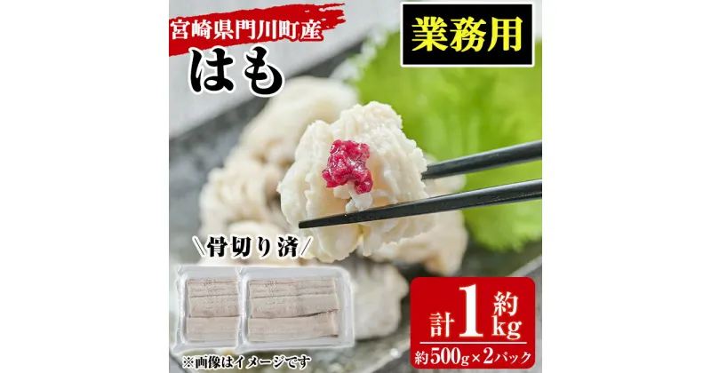 【ふるさと納税】＜訳あり・業務用＞加熱用はも(計約1kg・約500g×2パック)魚介 国産 ハモ 鱧 湯引き 天ぷら しゃぶしゃぶ 骨切り済 宮崎県 門川町【MR-2】【株式会社マルユウ水産】