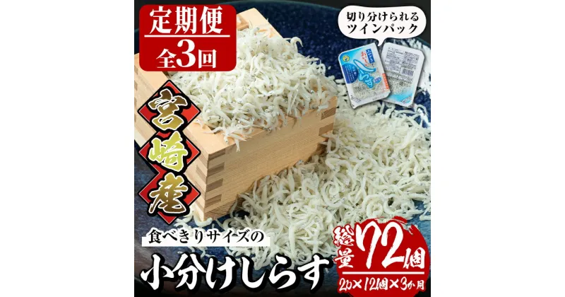 【ふるさと納税】【定期便・全3回(連続)】小分けしらす(総量約1.8kg・25g×24個×3回)シラス 魚 魚介類 おつまみ 冷凍【E-23】【水永水産】