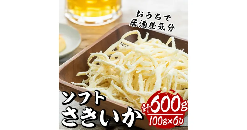 【ふるさと納税】ソフトさきいか(計約600g・100g×6P)干物 おつまみ 珍味 海産物 常温 保存【E-26】【水永水産】