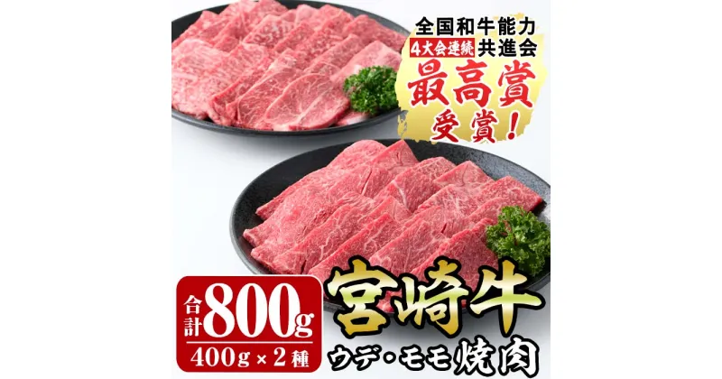 【ふるさと納税】宮崎牛焼肉セット(合計800g・400g×2種)モモ ウデ 牛肉 肉 ブランド牛 黒毛和牛 BBQ 食べ比べ 冷凍 国産 宮崎県 門川町【R-74】【ミヤチク】