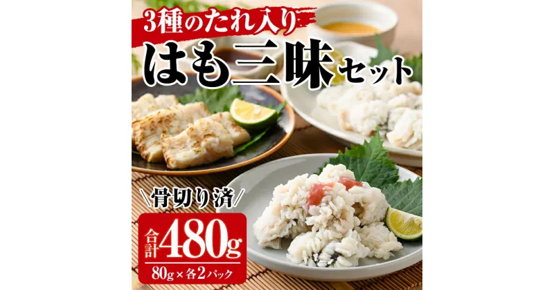 【ふるさと納税】鱧三昧セット(合計480g・3種×各2P)はも ハモ 湯引き タタキ たたき 骨切り 海鮮 おつまみ 梅肉 酢みそ 酢味噌 タレ たれ 国産 小分け 冷凍 魚介 食べ比べ 詰め合わせ 詰合せ 宮崎県産【MR-6】【マルユウ水産】