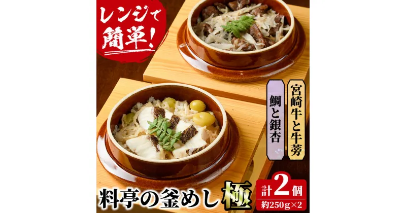 【ふるさと納税】料亭の釜めし・極＜宮崎牛と牛蒡＞＜鯛と銀杏＞（2種各1個）釜飯 料亭 惣菜 時短 お取り寄せ グルメ 詰め合わせ セット 冷凍【TW-1】【魚甚閣 常若】