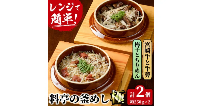 【ふるさと納税】料亭の釜めし・極＜宮崎牛と牛蒡＞＜梅干しとちりめん＞(2種各1個)釜飯 惣菜 時短 お取り寄せ グルメ 詰め合わせ セット 冷凍【TW-3】【魚甚閣 常若】