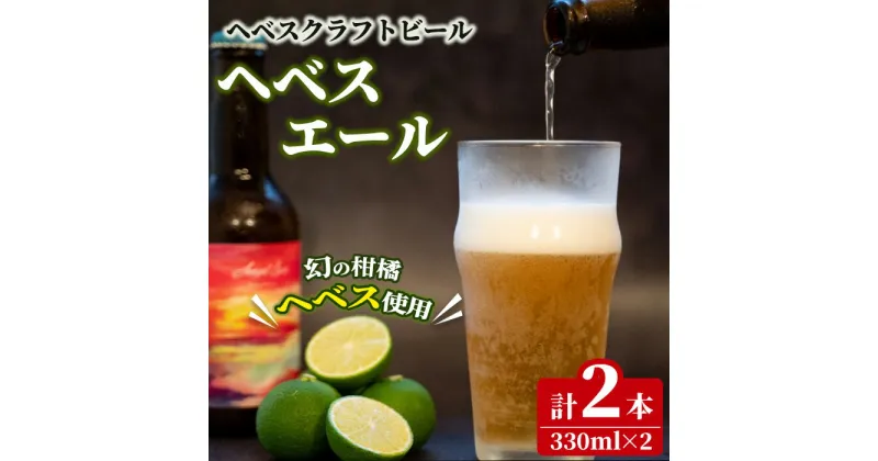 【ふるさと納税】ヘベスエール ヘベスクラフトビール(330ml×2本) 数量限定 ご当地ビール 地ビール お酒 BBQ 宅飲み 晩酌 へべす 柑橘 オリジナル 【HS-2】【はせがわ農園(Lily Garden)】