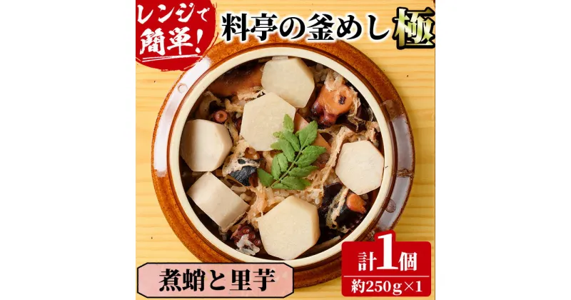 【ふるさと納税】料亭の釜めし・極＜煮蛸と里芋＞(約250g×1)釜飯 料亭 惣菜 時短 お取り寄せ グルメ 冷凍 レンジアップ【TW-6】【魚甚閣 常若】