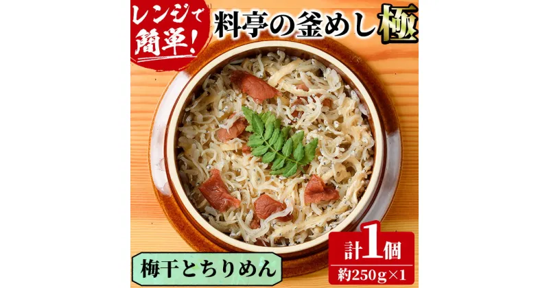 【ふるさと納税】料亭の釜めし・極＜梅干しとちりめん＞(約250g×1)釜飯 料亭 惣菜 時短 お取り寄せ グルメ 冷凍 レンジアップ【TW-7】【魚甚閣 常若】