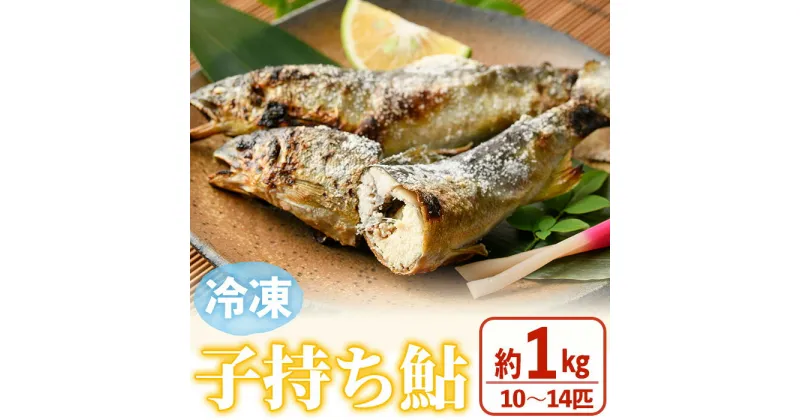 【ふるさと納税】冷凍子持鮎(約1kg・10～14匹) 鮎 冷凍 子持ち鮎 小分け 国産 門川町産 宮崎県産 塩焼き あゆ 川魚 養殖 香魚 【ME-03】【米良水産】